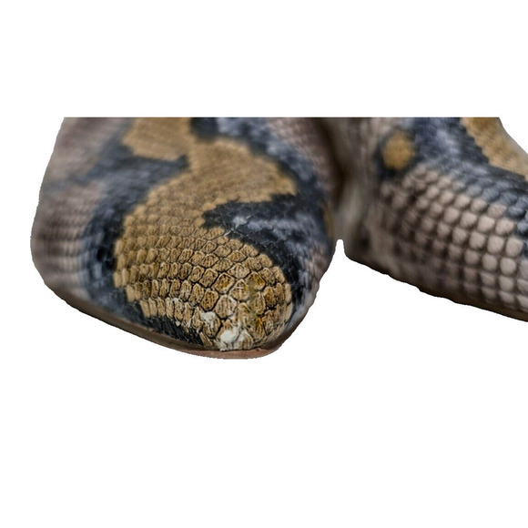 STEVEN NEW YORK Fedor Block Heel Slip On Mules Women’s Snake Print Sandals 8.5 - Picture 4 of 12